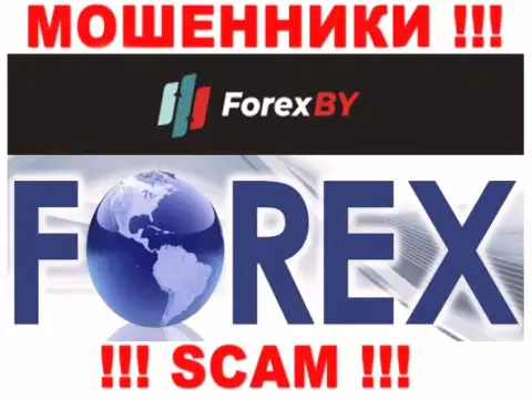 Будьте очень внимательны, вид деятельности ForexBY, ФОРЕКС - кидалово !!!