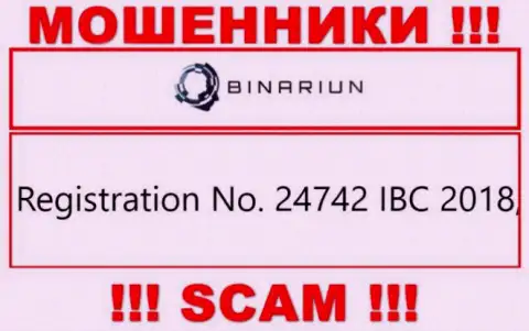 Регистрационный номер организации Binariun Net, которую стоит обходить десятой дорогой: 24742 IBC 2018