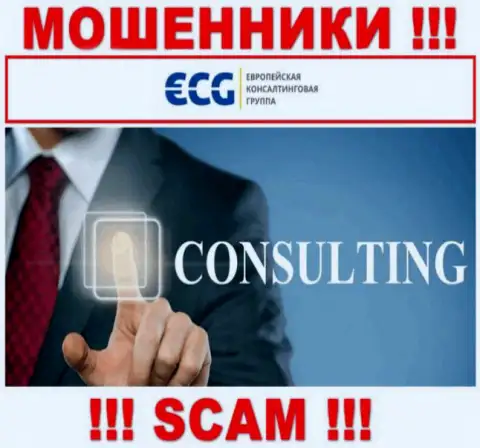 Consulting - это вид деятельности жульнической конторы EC-Group