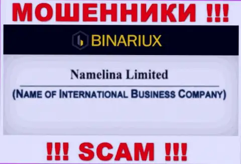 Namelina Limited - это интернет-ворюги, а владеет ими Namelina Limited
