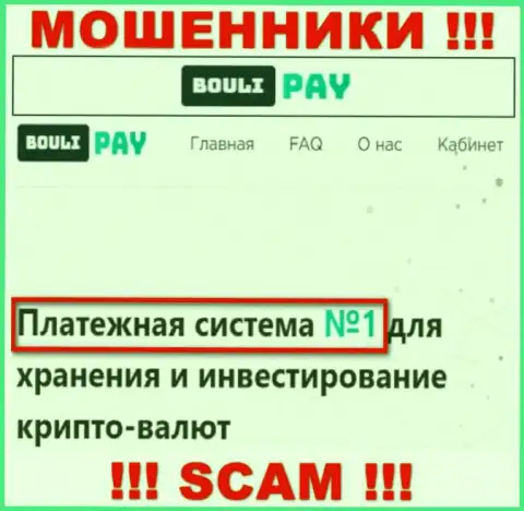 Основная деятельность Bouli-Pay Com - это Платежная система, осторожно, действуют незаконно