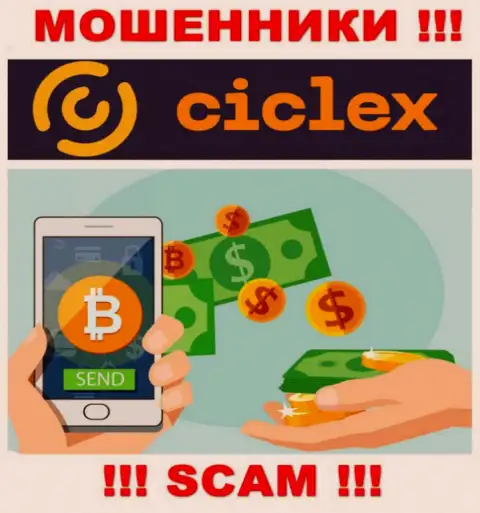 Ciclex не вызывает доверия, Криптообменник - это именно то, чем заняты указанные internet-мошенники