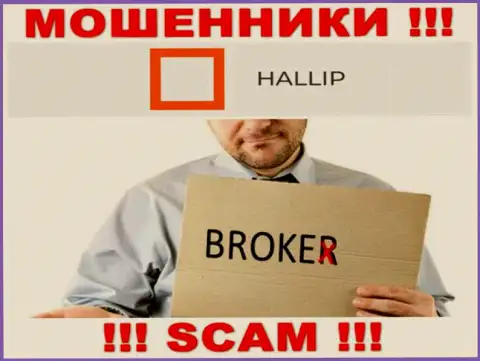 Род деятельности internet-обманщиков Халлип Ком - это Брокер, но знайте это разводняк !