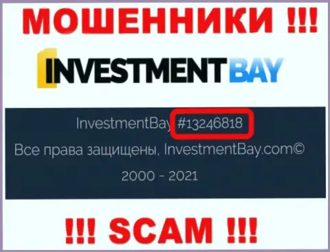 Номер регистрации, под которым зарегистрирована контора Investment Bay: 13246818