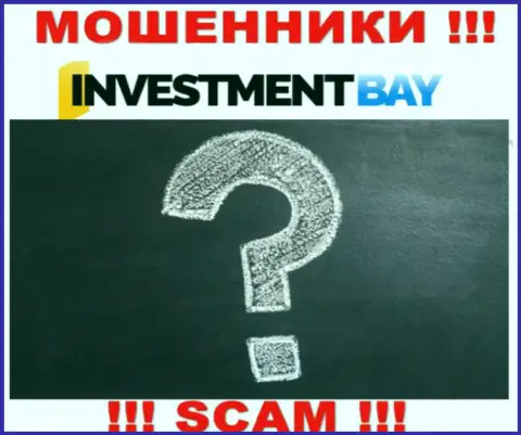InvestmentBay Com - это несомненно ВОРЫ ! Компания не имеет регулируемого органа и разрешения на свою работу