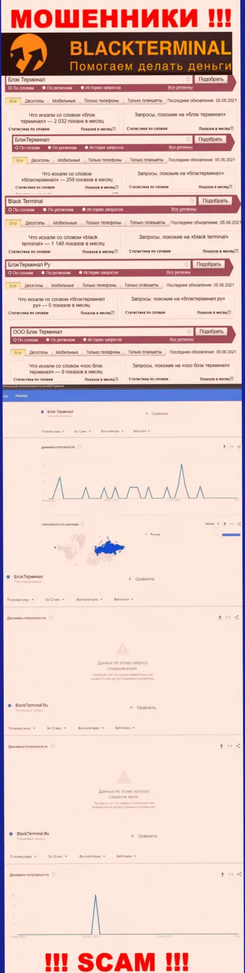 Количество поисковых запросов данных об мошенниках BlackTerminal Ru в сети интернет