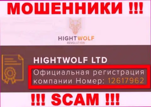 Наличие регистрационного номера у HightWolf (12617962) не значит что компания солидная