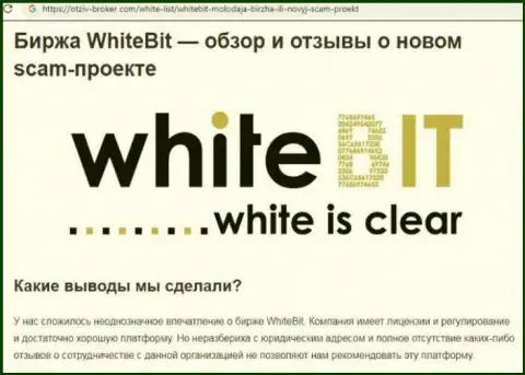 White Bit это организация, сотрудничество с которой приносит только лишь убытки (обзор)