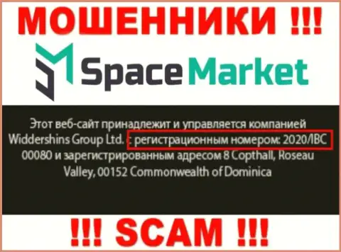 Рег. номер, который присвоен организации Space Market - 2020/IBC 00080