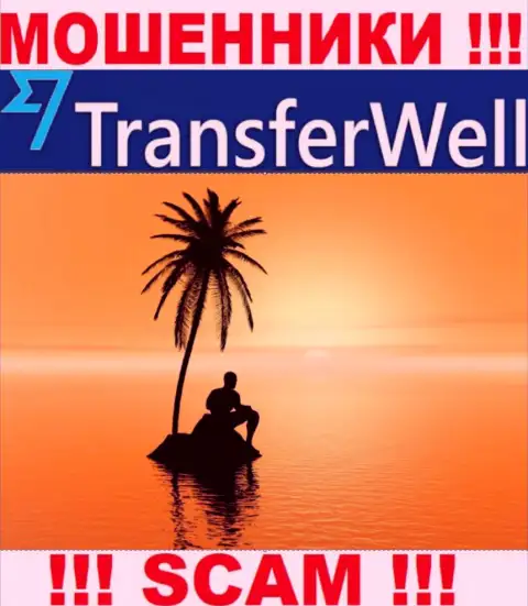Юрисдикция TransferWell спрятана, посему перед перечислением средств стоит подумать сто раз