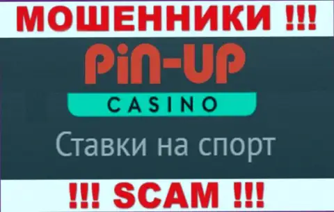 Основная деятельность Pin Up Casino это Казино, осторожно, промышляют неправомерно