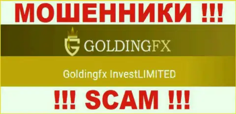 ГолдингФХ Инвест Лтд владеющее организацией Golding FX