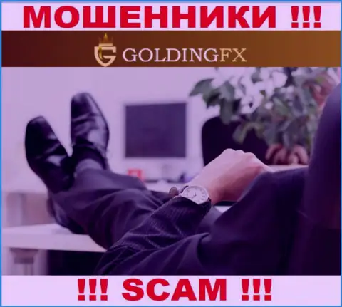 Ни имен, ни фотографий тех, кто руководит компанией Goldingfx InvestLIMITED во всемирной сети не отыскать