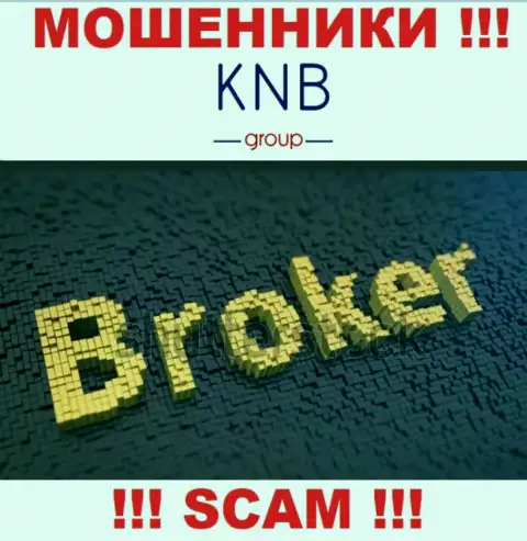 Сфера деятельности жульнической организации KNB Group это Брокер