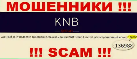 Регистрационный номер организации, владеющей KNB-Group Net - 136988