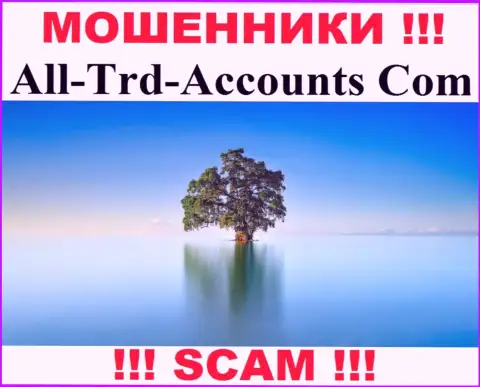 All Trd Accounts крадут вложенные деньги и выходят сухими из воды - они прячут инфу о юрисдикции