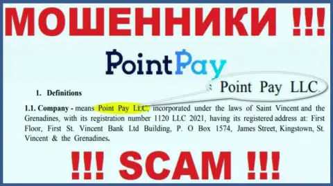 Point Pay LLC - это организация, которая руководит мошенниками Поинт Пэй