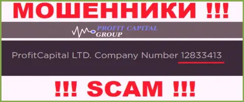 Номер регистрации Profit Capital Group, который представлен шулерами на их сайте: 12833413
