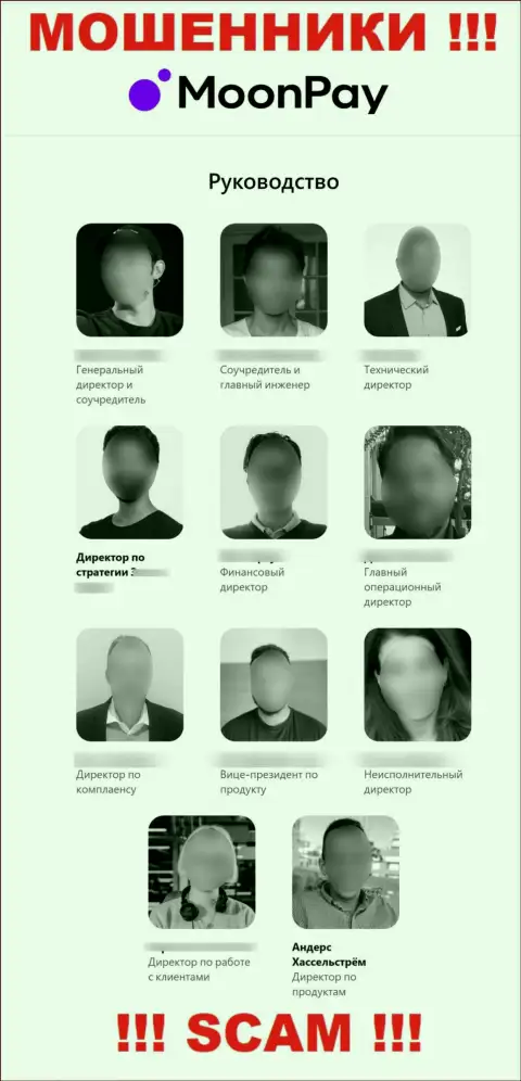 МоонПай Лимитед - это интернет мошенники, поэтому имена, фамилии и контакты начальства представляют фейковые