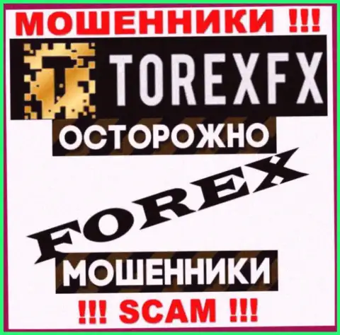 Род деятельности TorexFX: Forex - отличный доход для internet мошенников