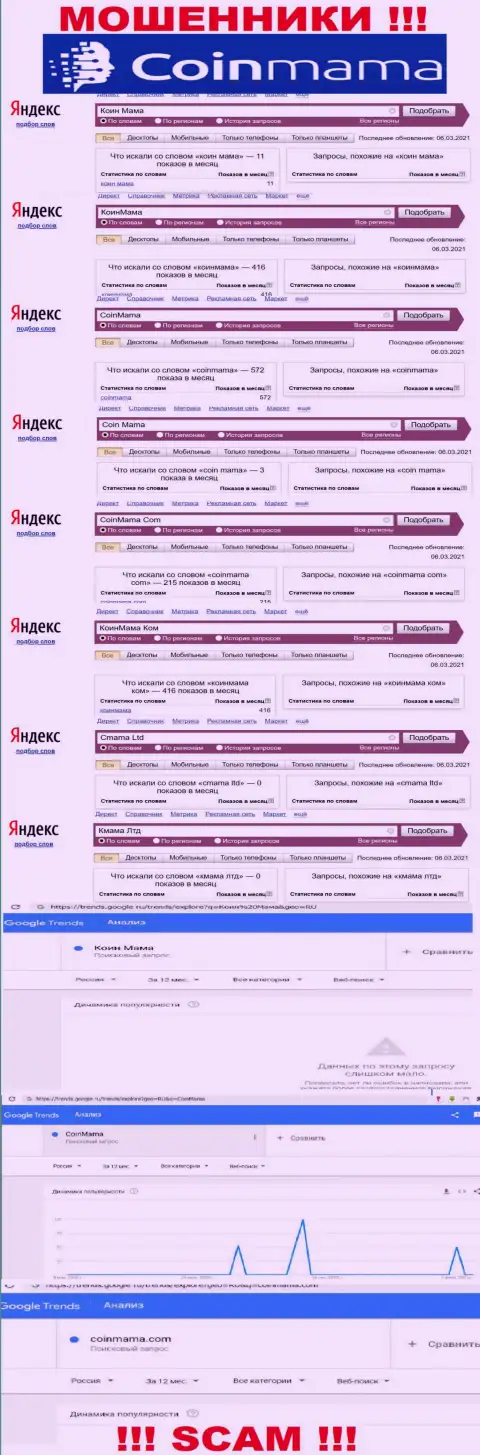 Статистика запросов по бренду мошенников Coin Mama