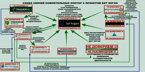 Полная схема связи Бит Коган с другими организациями