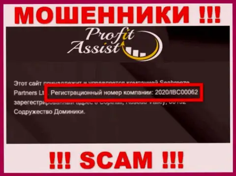 Рег. номер компании ProfitAssist Io - 2020/IBC00062