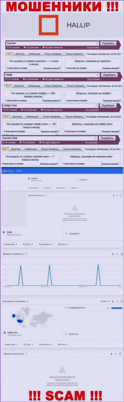 Информация о онлайн запросах по бренду internet воров Халлип Ком