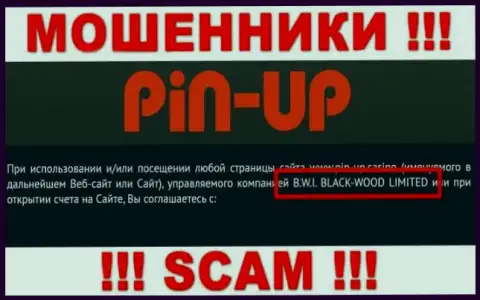 Ворюги Пин-Ап Казино принадлежат юридическому лицу - Б.В.И. Блек-Вуд Лтд