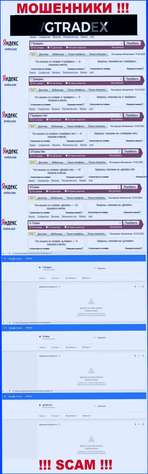Анализ online запросов, касательно мошенников GTradex, в internet сети