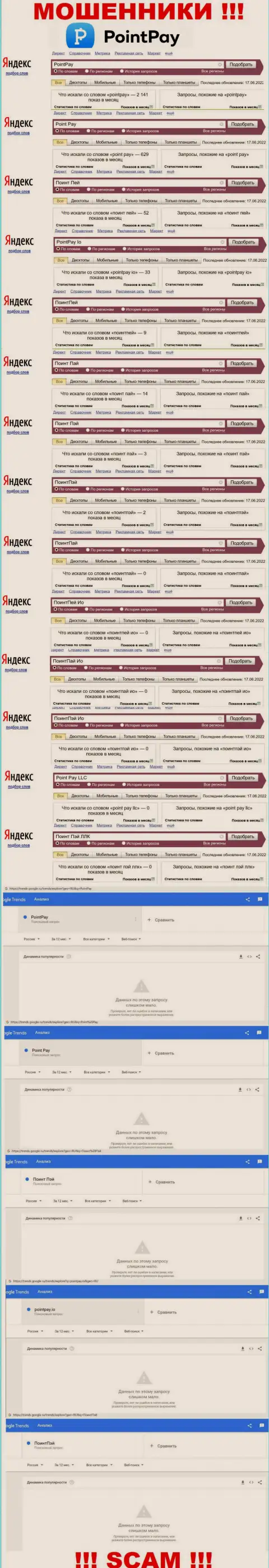 Статистика онлайн запросов по обманщикам ПоинтПэй в глобальной сети internet