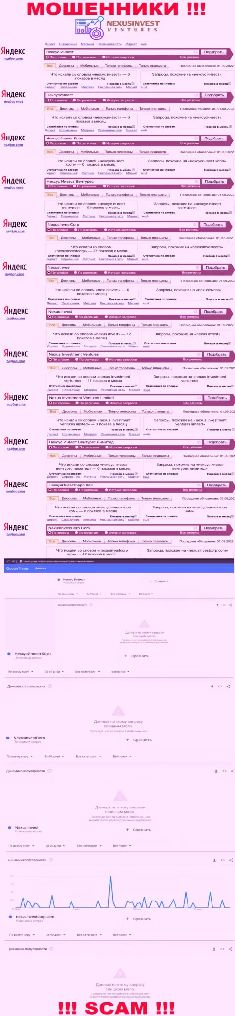 Статистические показатели брендовых поисковых запросов по противоправно действующей компании Nexus Invest