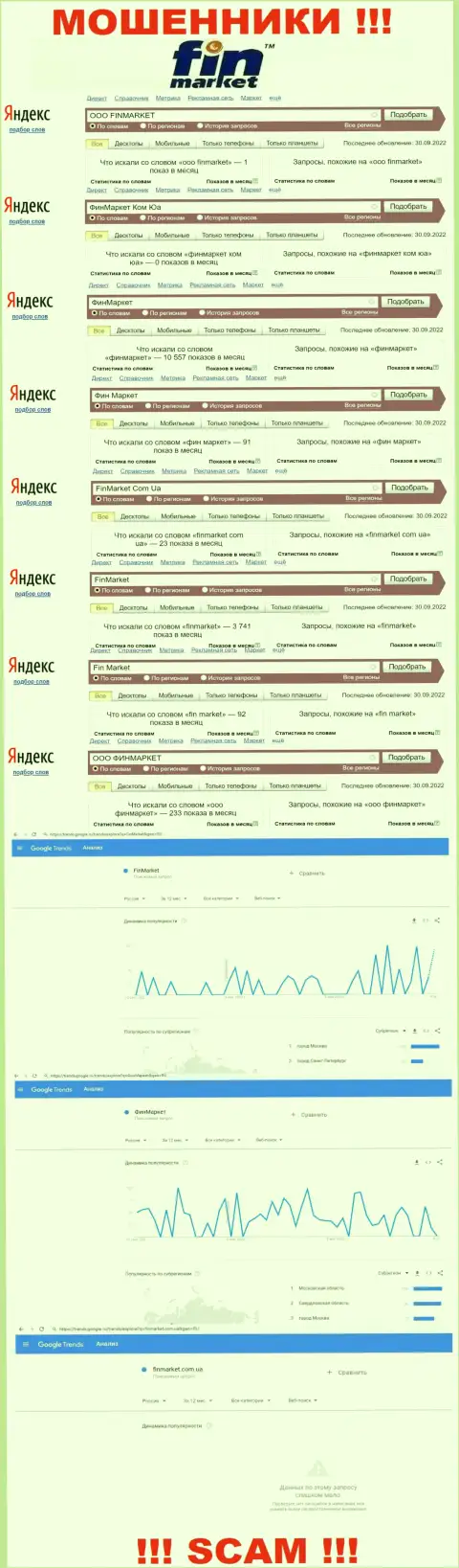 Статистика поисковых запросов по бренду воров Fin Market