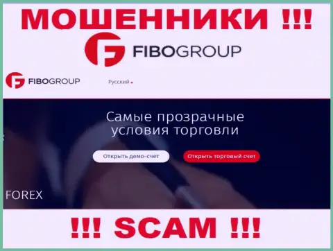 Вид деятельности конторы Fibo Forex - это капкан для лохов