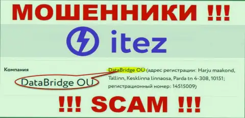 DataBridge OÜ это руководство организации Itez