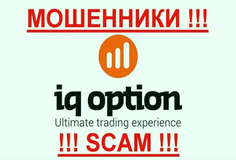 АйКьюОпцион Ком - КУХНЯ НА FOREX !!! SCAM !!!