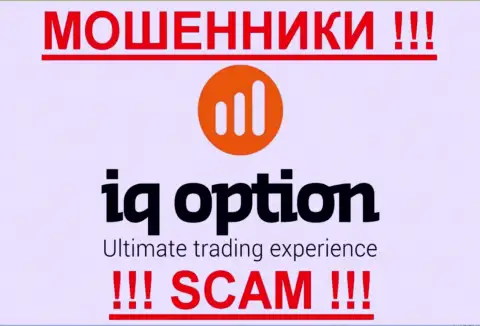 АйКьюОпцион - это АФЕРИСТЫ !!! SCAM !!!