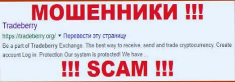 Trade Berry - ФОРЕКС КУХНЯ !!! SCAM !!!