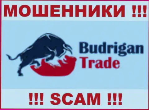 Будриган Трейд - это ВОРЫ ! SCAM !!!